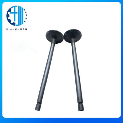 Valve QSL9 3800341 3969637 4981795   Intake And Exhaust For Cummins  Diesel  Engine Part